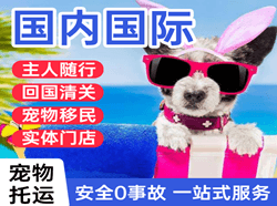 海西花土沟机场物流国际宠物托运 【国